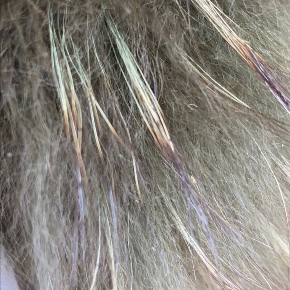 Meet your Posher, Shawnee